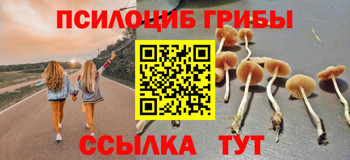 Галлюциногенные грибы мицелий Ухта