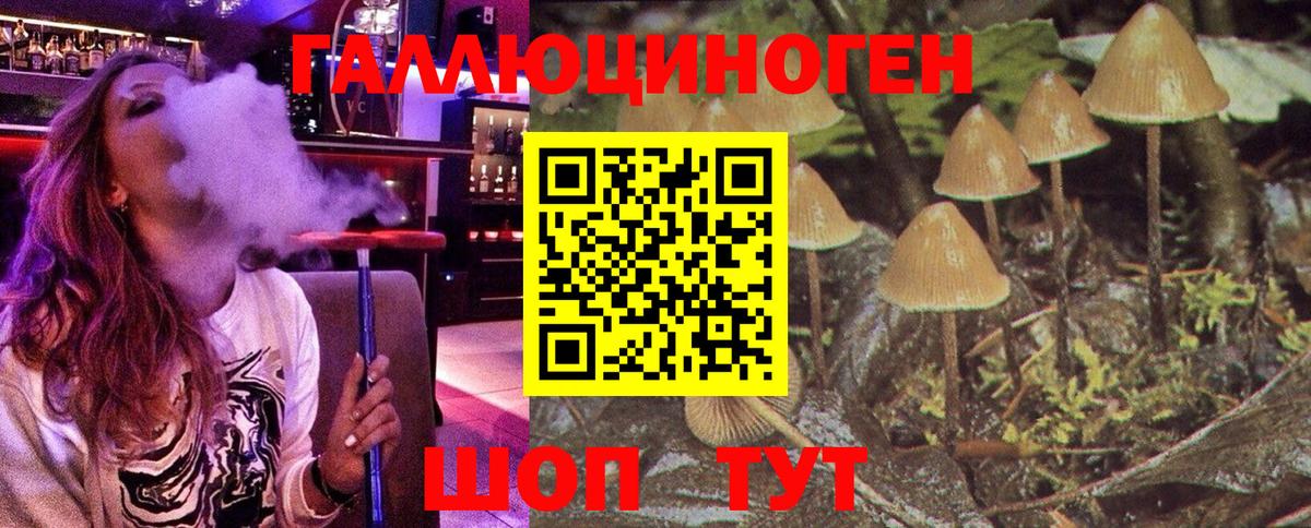 Ухта  Галлюциногенные грибы мицелий  Вход с VPN 
